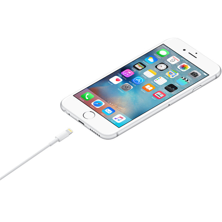 Apple Lightning to USB Cable (1 m)