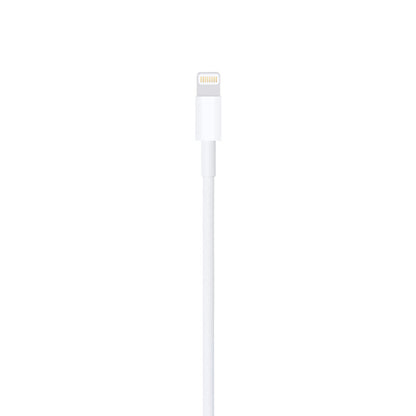 Apple Lightning to USB Cable (1 m)