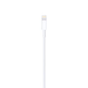 Apple Lightning to USB Cable (1 m)