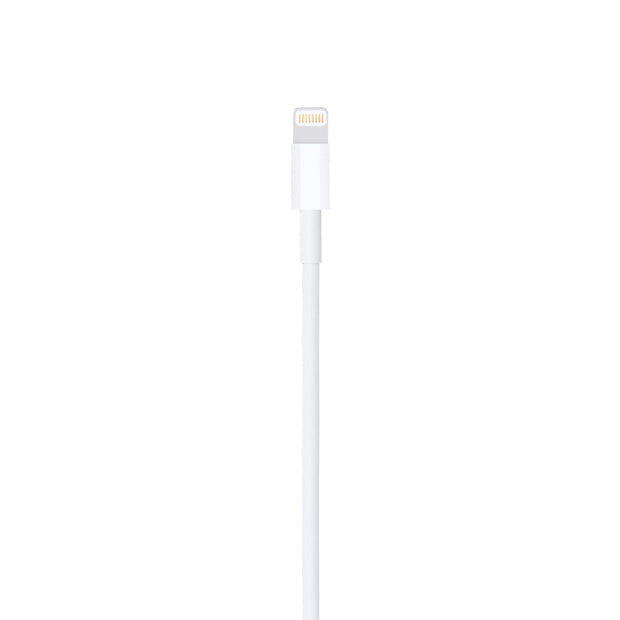 Apple Lightning to USB Cable (1 m)