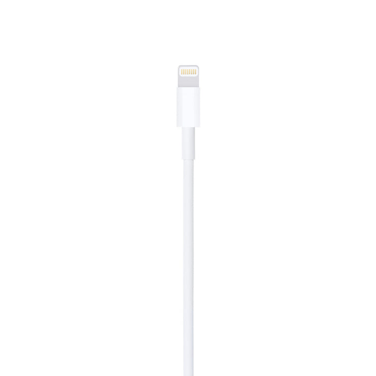 Apple Lightning to USB Cable (1 m)