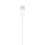 Apple Lightning to USB Cable (1 m)