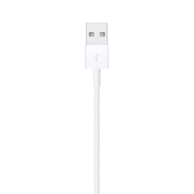 Apple Lightning to USB Cable (1 m)
